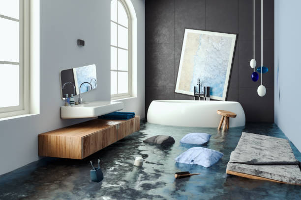 Best Water damage repair service  in Plymouth, CA