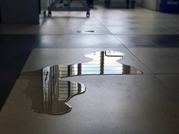 Best Water damage restoration near me  in Plymouth, CA