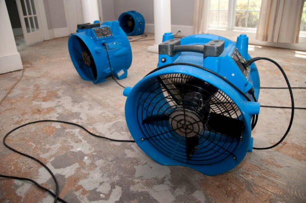 Best Ceiling water damage repair  in Plymouth, CA