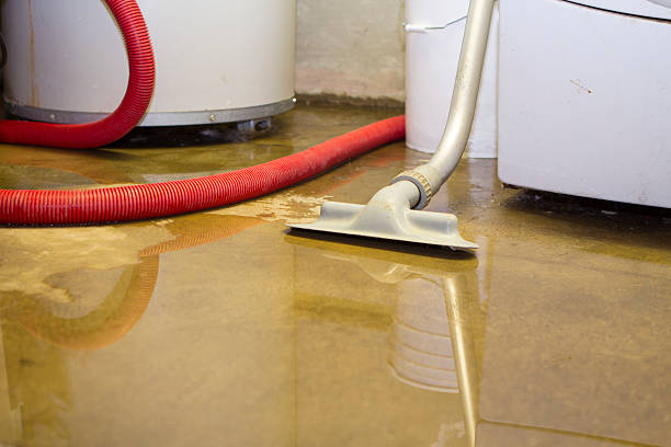  Plymouth, CA Water damage restoration Pros