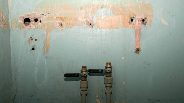 Best 24/7 water damage repair  in Plymouth, CA