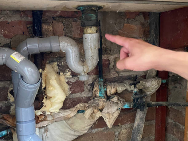 Best Water damage cleanup near me  in Plymouth, CA