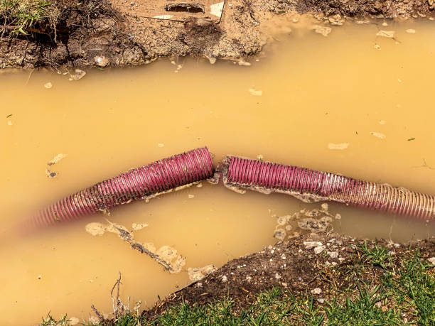 Best Sewage cleanup and water damage restoration  in Plymouth, CA