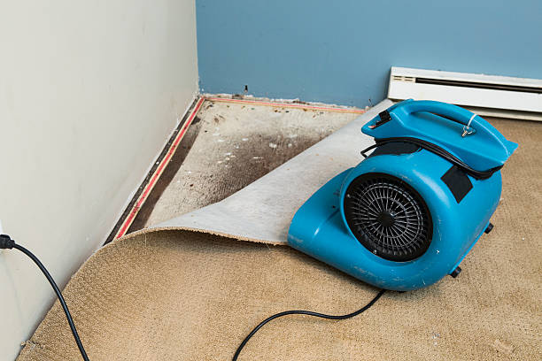 Best Water damage restoration near me  in Plymouth, CA
